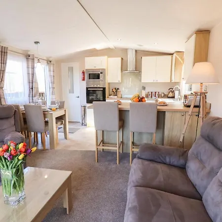 Tulip Saltburn-by-the-Sea