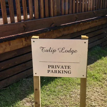 Tulip Saltburn-by-the-Sea